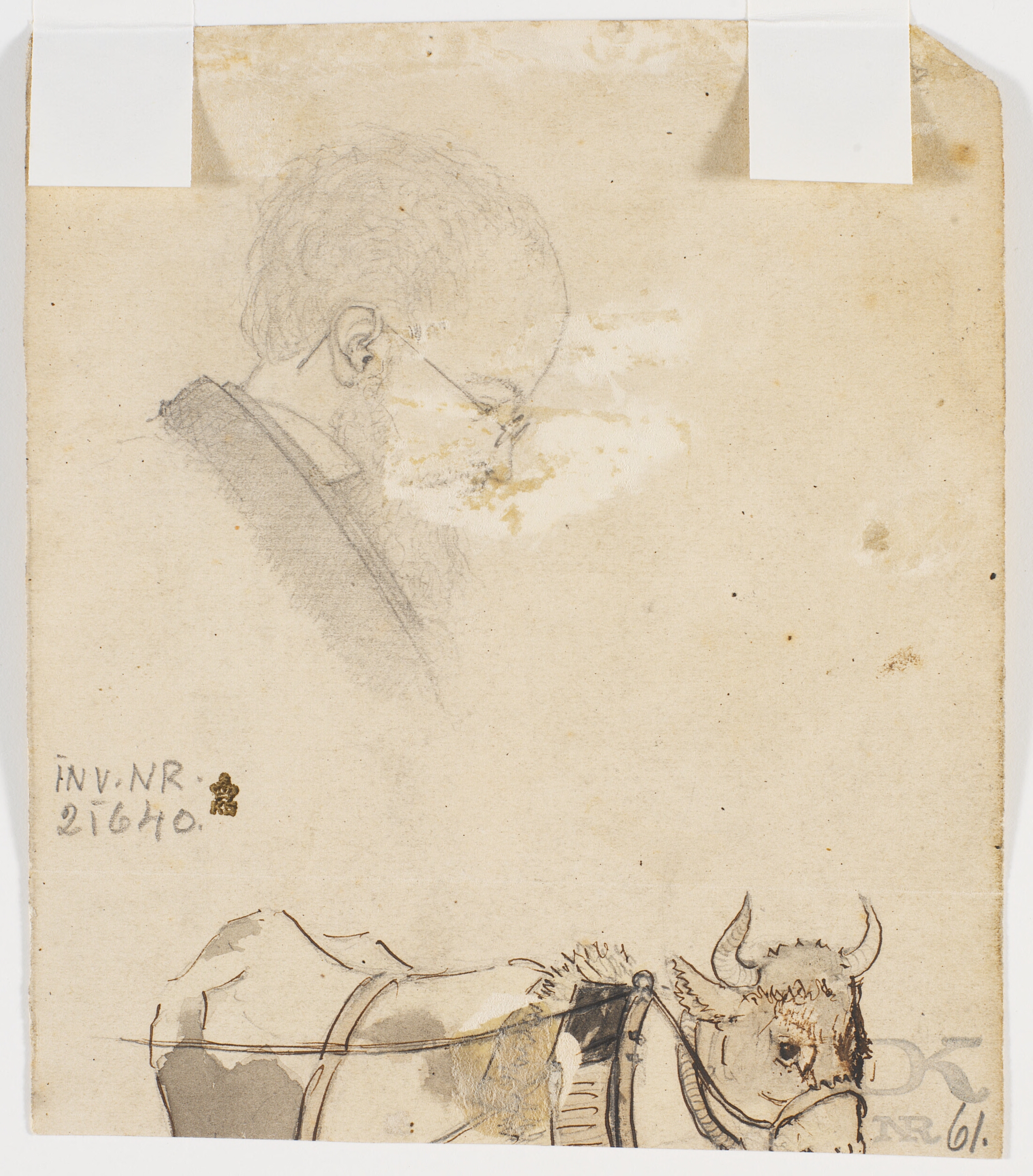 Mandsprofil og stud med seletøj